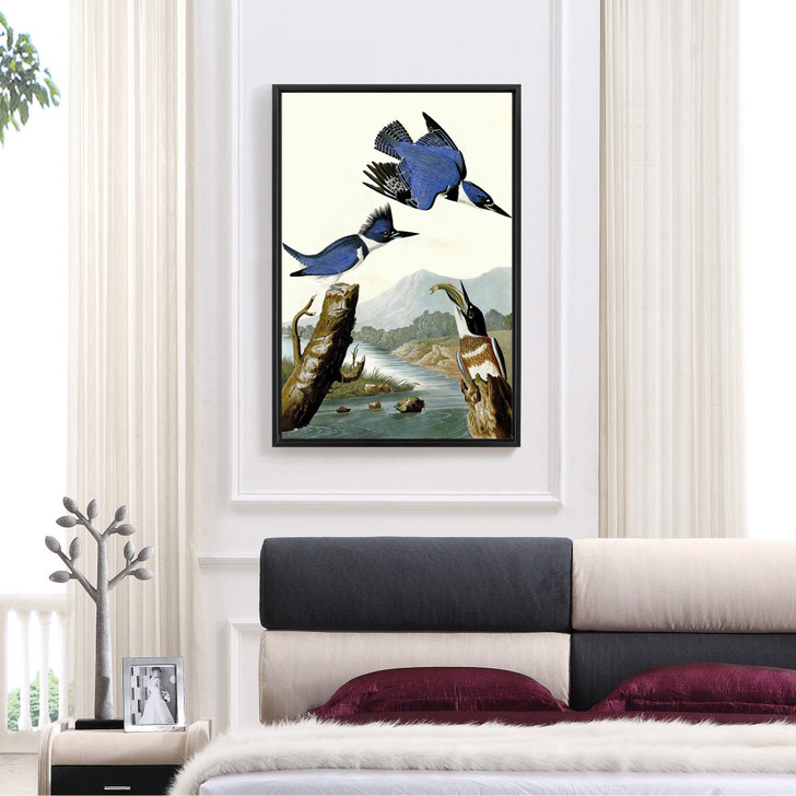 John James Audubon, Belted Kingfisher,The Birds of America,canvas print,canvas art,canvas wall art,large wall art,framed wall art,p2284