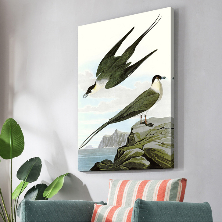 John James Audubon, Arctic Yager,The Birds of America,canvas print,canvas art,canvas wall art,large wall art,framed wall art,p2273