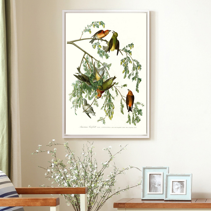 John James Audubon,American Crossbill,The Birds of America,canvas print,canvas art,canvas wall art,large wall art,framed wall art,p2262