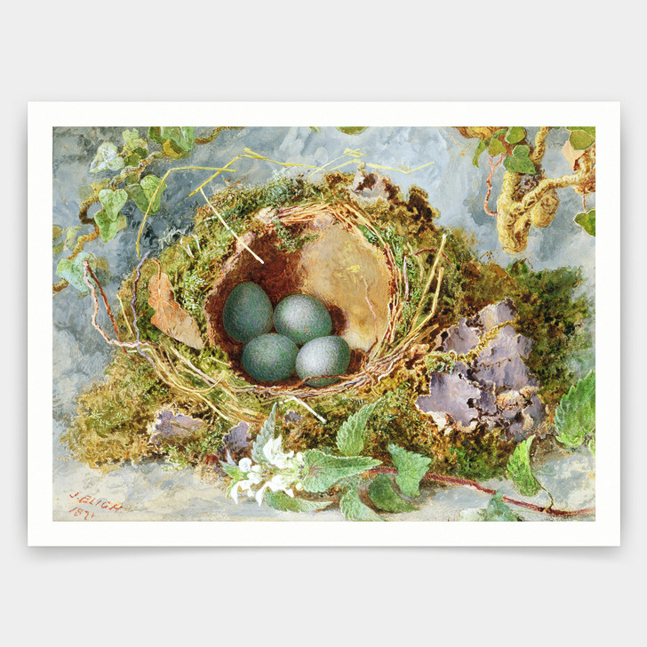 Jabez Bligh,A Nest Of Eggs, 1871,art prints,Vintage art,canvas wall art,famous art prints,V4187