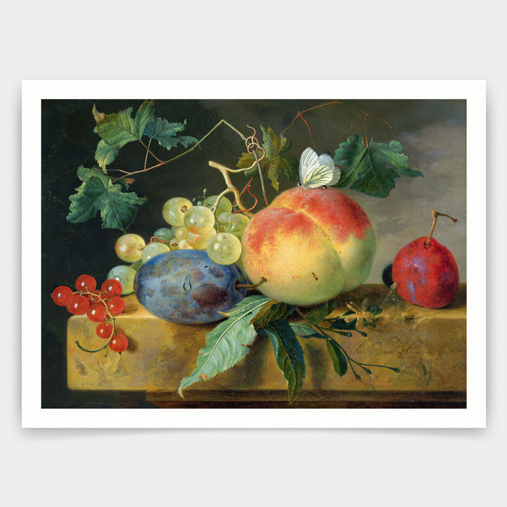 Jan van Huysum,Fruit Still Life,art prints,Vintage art,canvas wall art,famous art prints,V4261