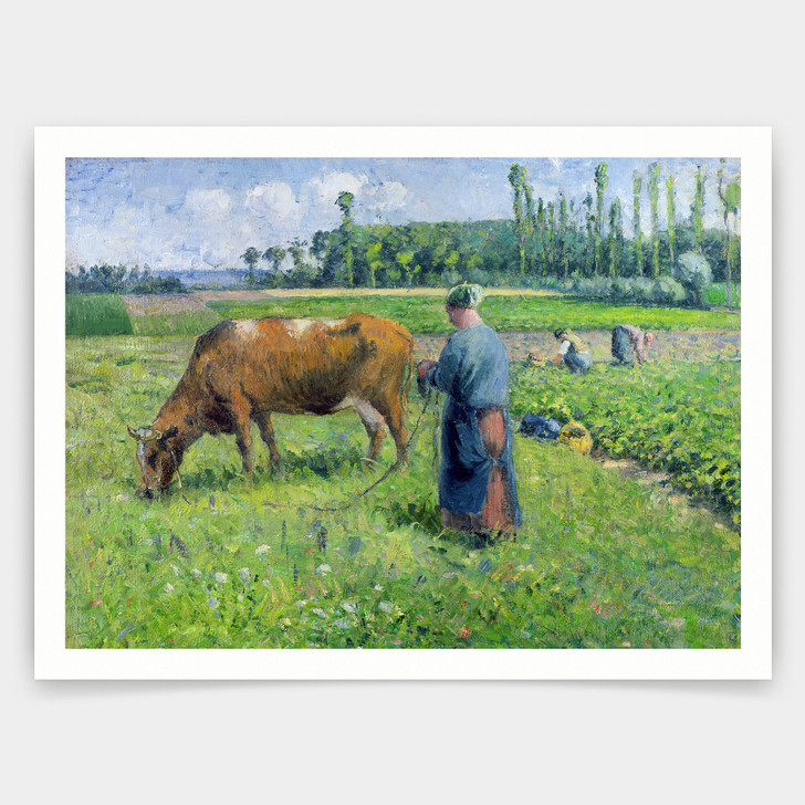 Camille Pissarro,Girl Tending a Cow in Pasture,art prints,Vintage art,canvas wall art,famous art prints,V3245