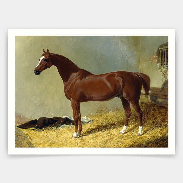 John Frederick Herring Snr,A Bay Racehorse in a Stall, 1843,art prints,Vintage art,canvas wall art,famous art prints,V4405