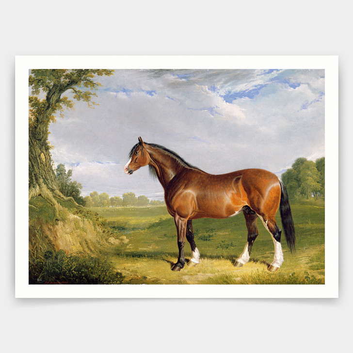 John Frederick Herring Snr,A Clydesdale Stallion Photograph,art prints,Vintage art,canvas wall art,famous art prints,V4406