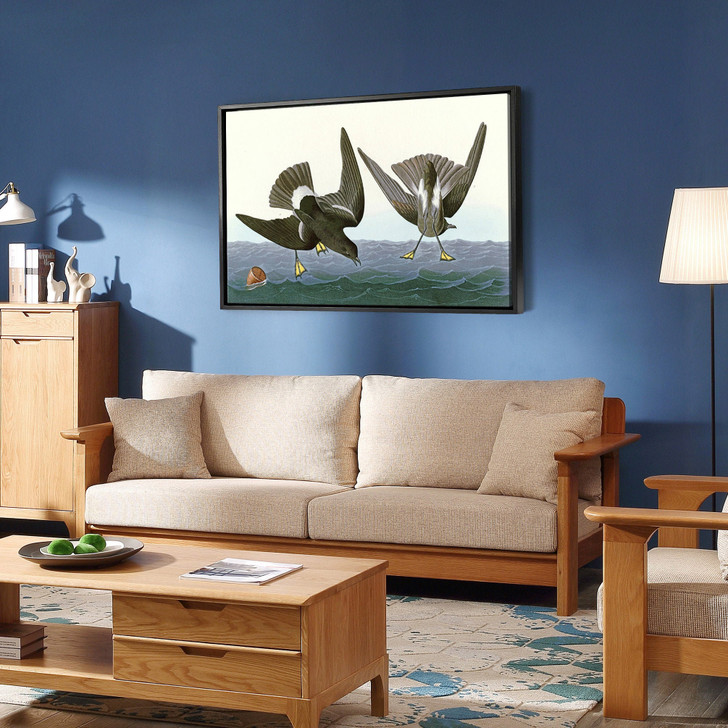 John James Audubon, Stormy Petrel,The Birds of America,canvas print,canvas art,canvas wall art,large wall art,framed wall art,p1942