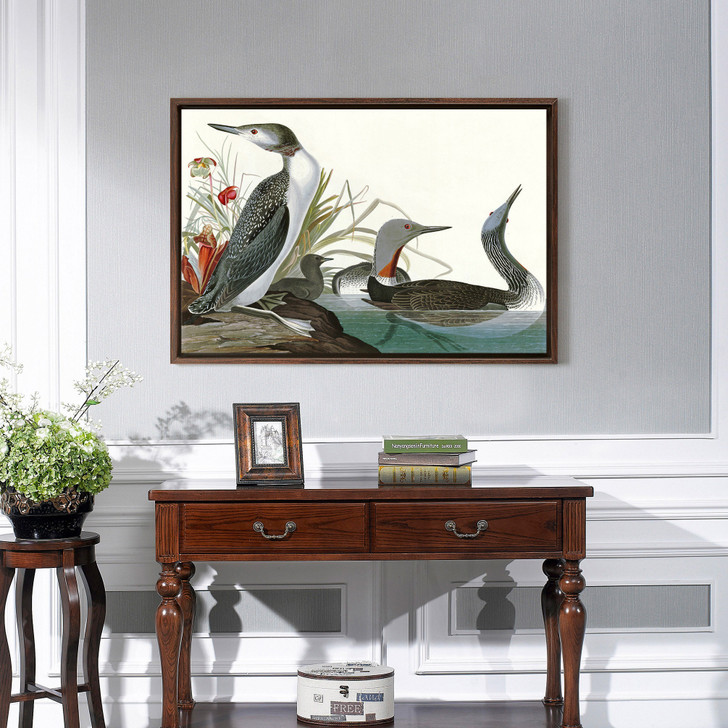 John James Audubon, Red Throated Diver,The Birds of America,canvas print,canvas art,canvas wall art,large wall art,framed wall art,p1916