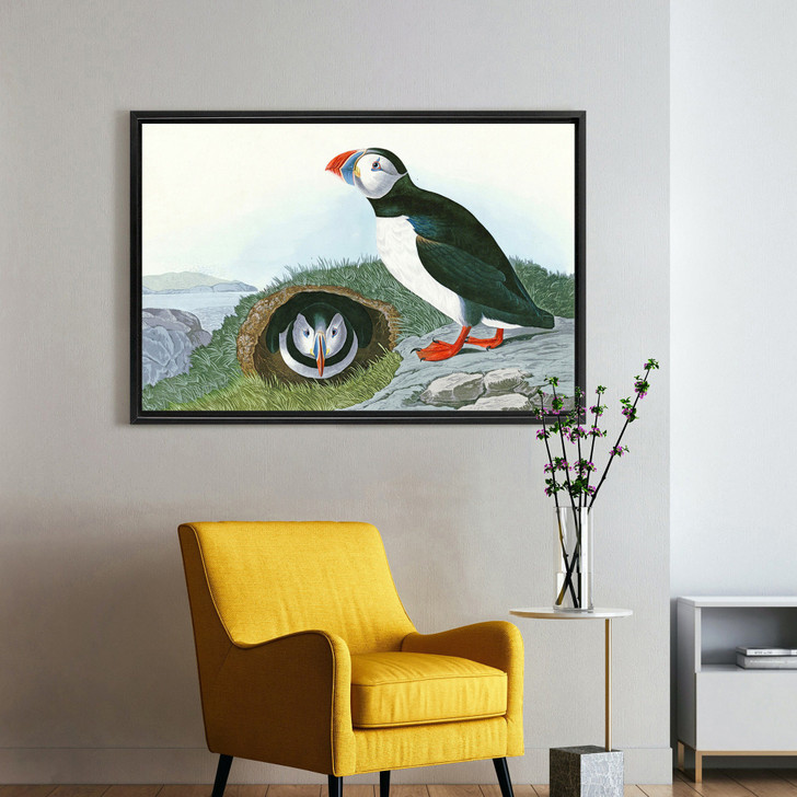 John James Audubon, Puffin,The Birds of America,canvas print,canvas art,canvas wall art,large wall art,framed wall art,p1904
