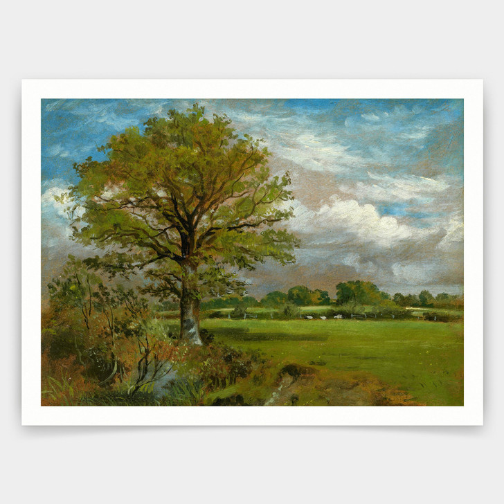 Lionel Bicknell Constable,tree In A Meadow,art prints,Vintage art,canvas wall art,famous art prints,V4555