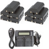 10 Batteries + LCD Dual Rapid Battery Charger for