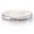 Bitcoin Challenge Coin Nickel Plated Good Luck Souvenir or Golf Ball Marker
