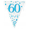 Sparkling Fizz Blue 60th Birthday Bunting 3.9m