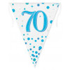 Sparkling Fizz Blue 70th Birthday Bunting 3.9m