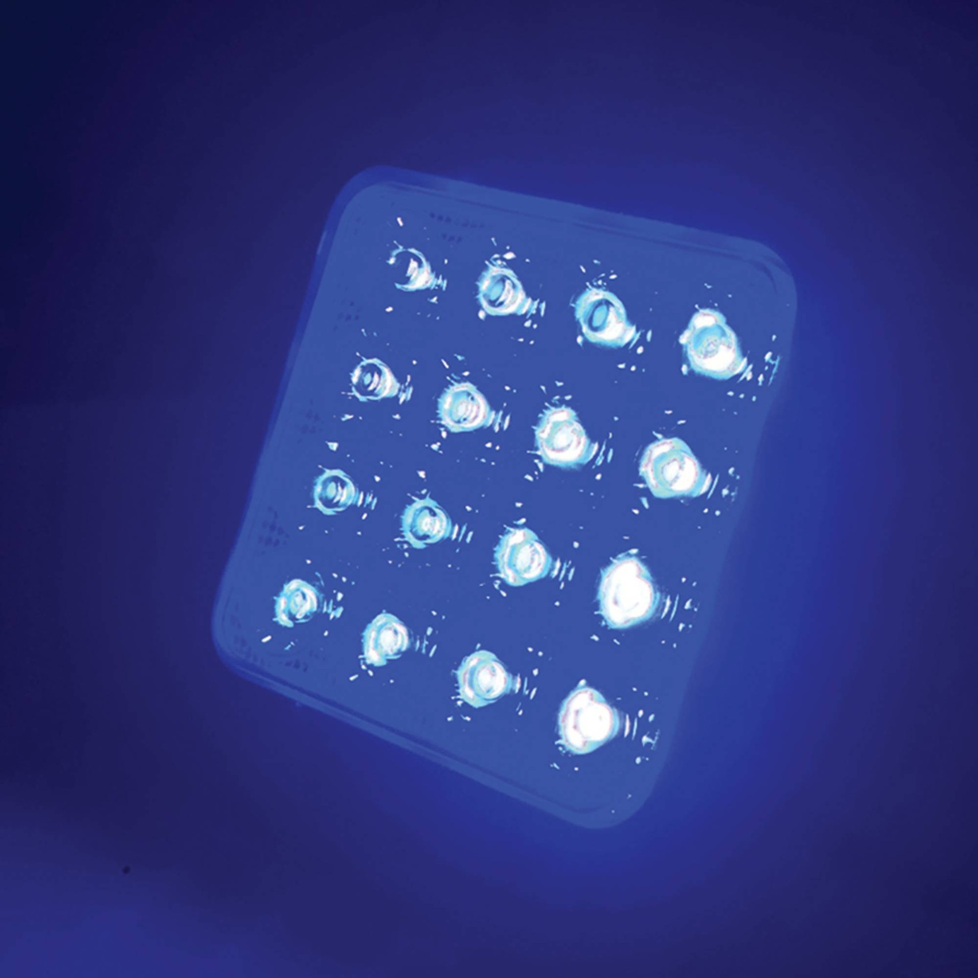 LED Blue Work Light, Sprayer Light, TL115F LED Work Lights from Tiger