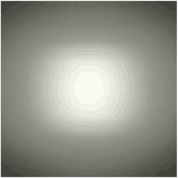 LED Oval Light w Swivel Mount For Kubota 3J030-13560, 3J030-13570; TL5170 LED Oval Light w Swivel Mount For Kubota 3J030-13560, 3J030-13570; TL5170