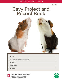 DWIGHT DRUICK,AOR,TOTO,GEORGY PORGYカヴァー Volturi Custom Thor 4x8 Hard Pool Cue Case - VCTHOR4X8