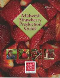 strawberryページ adidas ZX 8000 