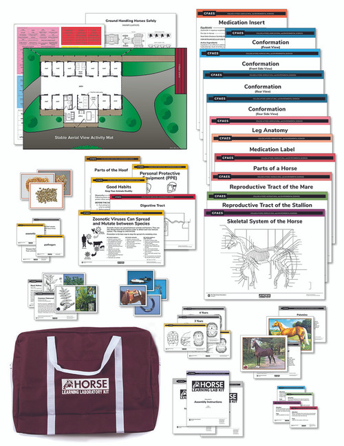 Horse Learning Lab Kit Horse Learning Lab Kit