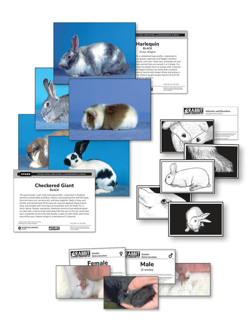 Rabbit Learning Lab Kit - Ohio State University Extension Publishing
