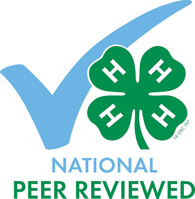 national-peer-review-l17.png