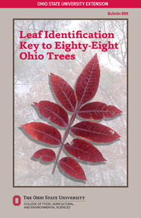 Leaf Identification Key to Eighty-Eight Ohio Trees - OSU Extension