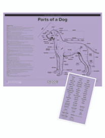 PDPS__48425.1601575810.500.750