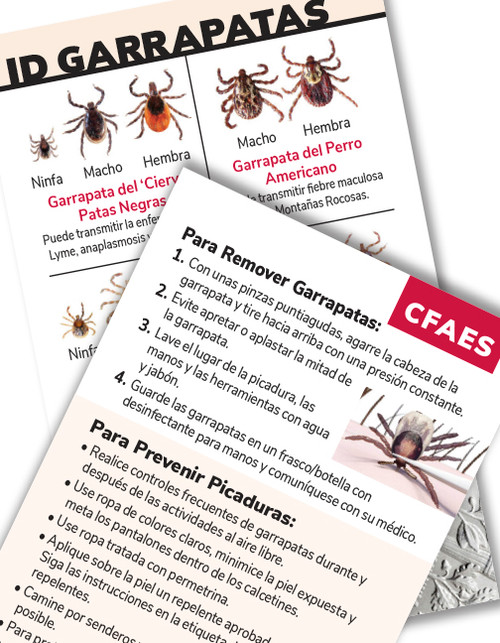 Tick ID Card Spanish (set of 25)