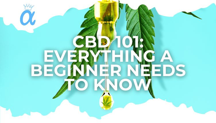 CBD 101: Everything a Beginner Needs to Know