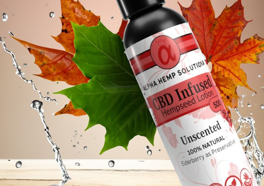 The Revolutionary CBD-Infused Elderberry Relief Lotion: A Game-Changer in Natural Skincare