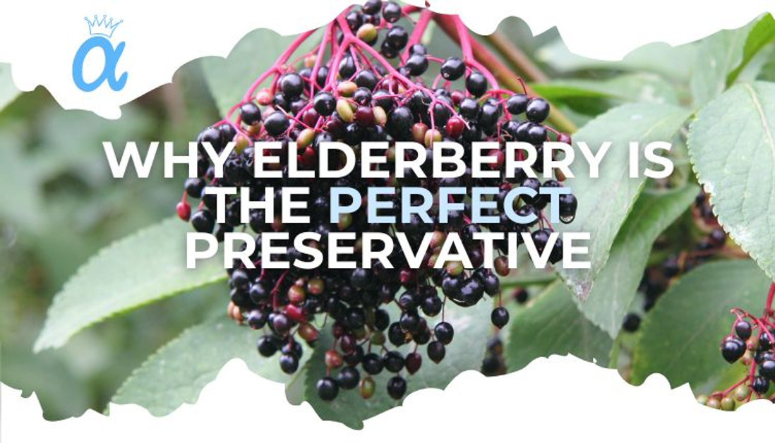 Why Elderberry is the Perfect Preservative