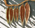  Exotic Skin Feathers -  Cognac Lizard 