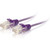 C2G 5ft Cat6 Slim Snagless Unshielded (UTP) Ethernet Cable - Purple