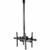 StarTech.com Dual TV Ceiling Mount, Back-to-Back Hanging Dual Screen VESA Pole Mount for 32"-75" TVs - Height Adjustable Telescopic Pole