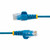 StarTech.com 6 ft CAT6 Cable - Slim CAT6 Patch Cord - Blue - Snagless RJ45 Connectors - Gigabit Ethernet Cable - 28 AWG - LSZH (N6PAT6BLS)