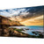 Samsung 65" Professional Display QET Series