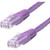 StarTech 50ft CAT6 Ethernet Cable - Purple Molded Gigabit - 100W PoE UTP 250Mhz - Category 6 Patch Cord UL Certified Wiring/TIA