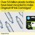 HP 923 Original Inkjet Ink Cartridge - Black - 1 Each