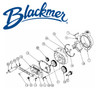 Blackmer Pump 910920