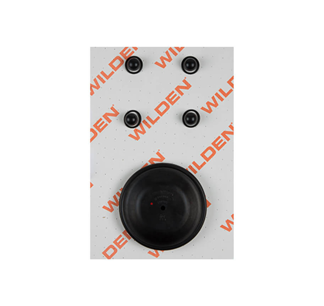 Wilden Pump Wet End Kit 02-9804-52