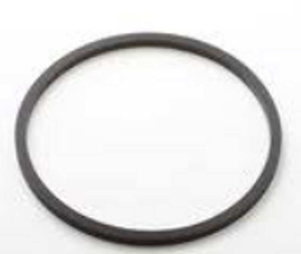 V720-061-608  Seal, Check Valve (FEP/Viton) fits SandPiper Model S15 X40, OEM # 720.061.608