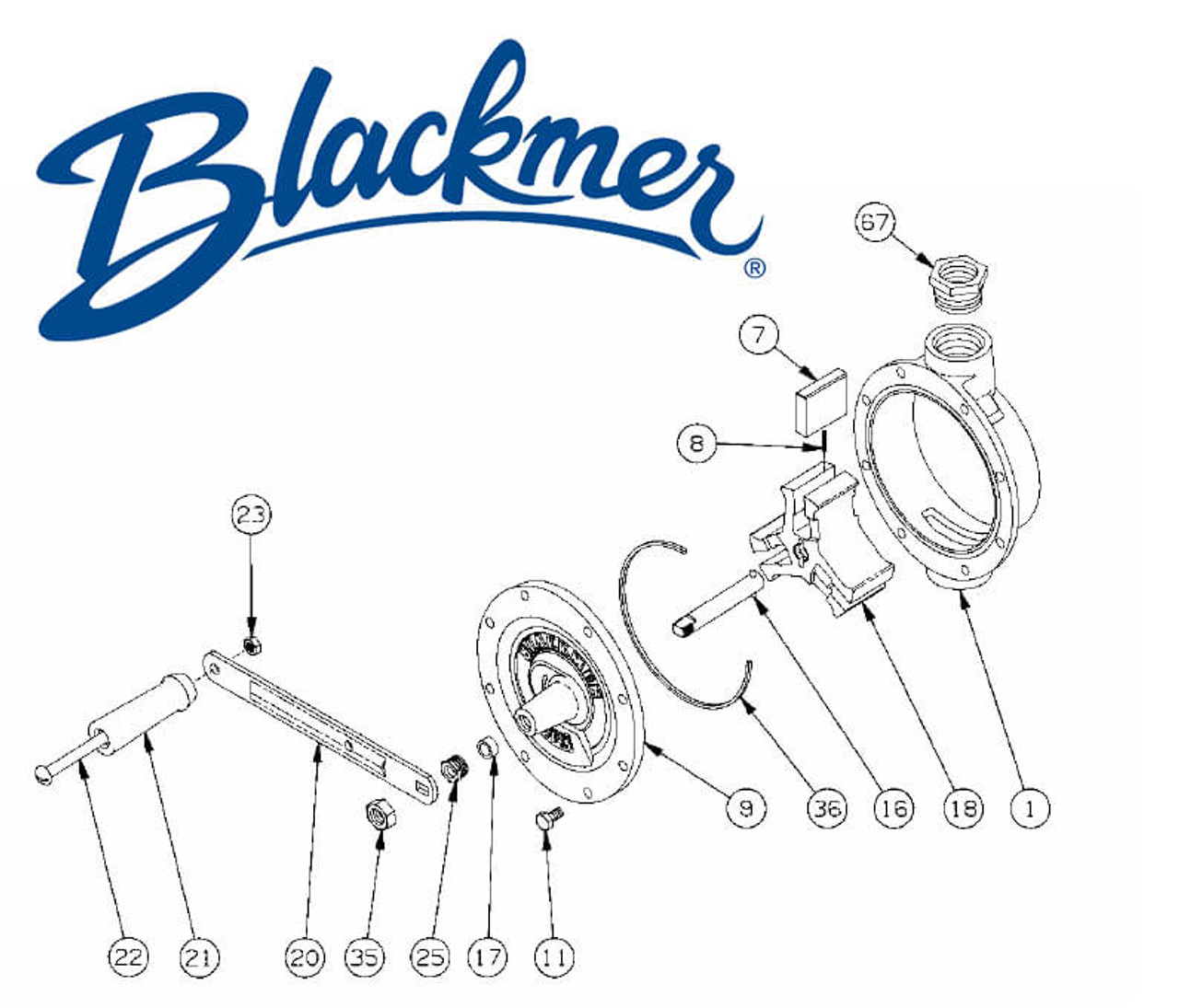 Blackmer Pump 700466