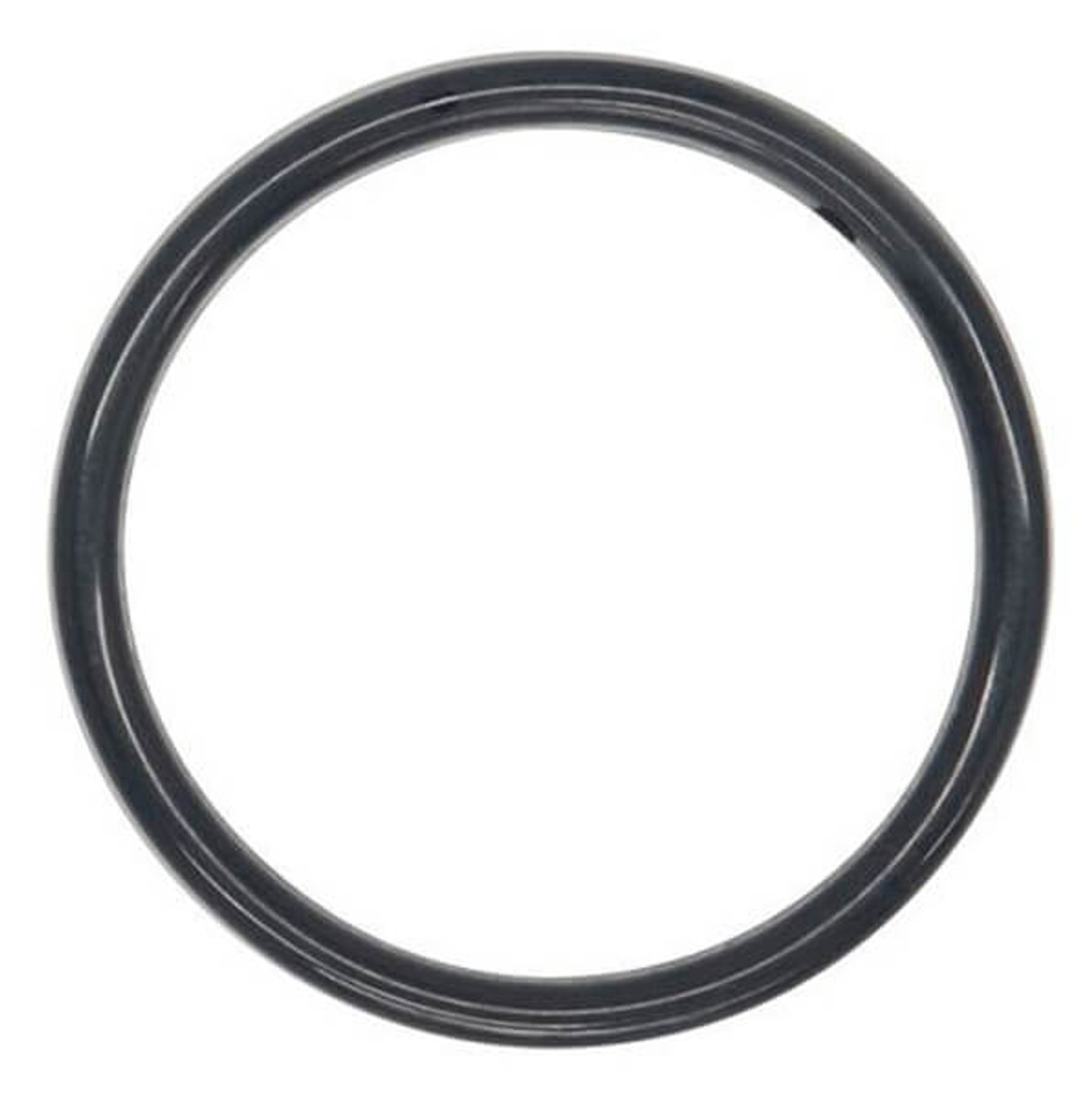 08-1300-60-500 Teflon/ Viton O-Ring for 2" Pumps