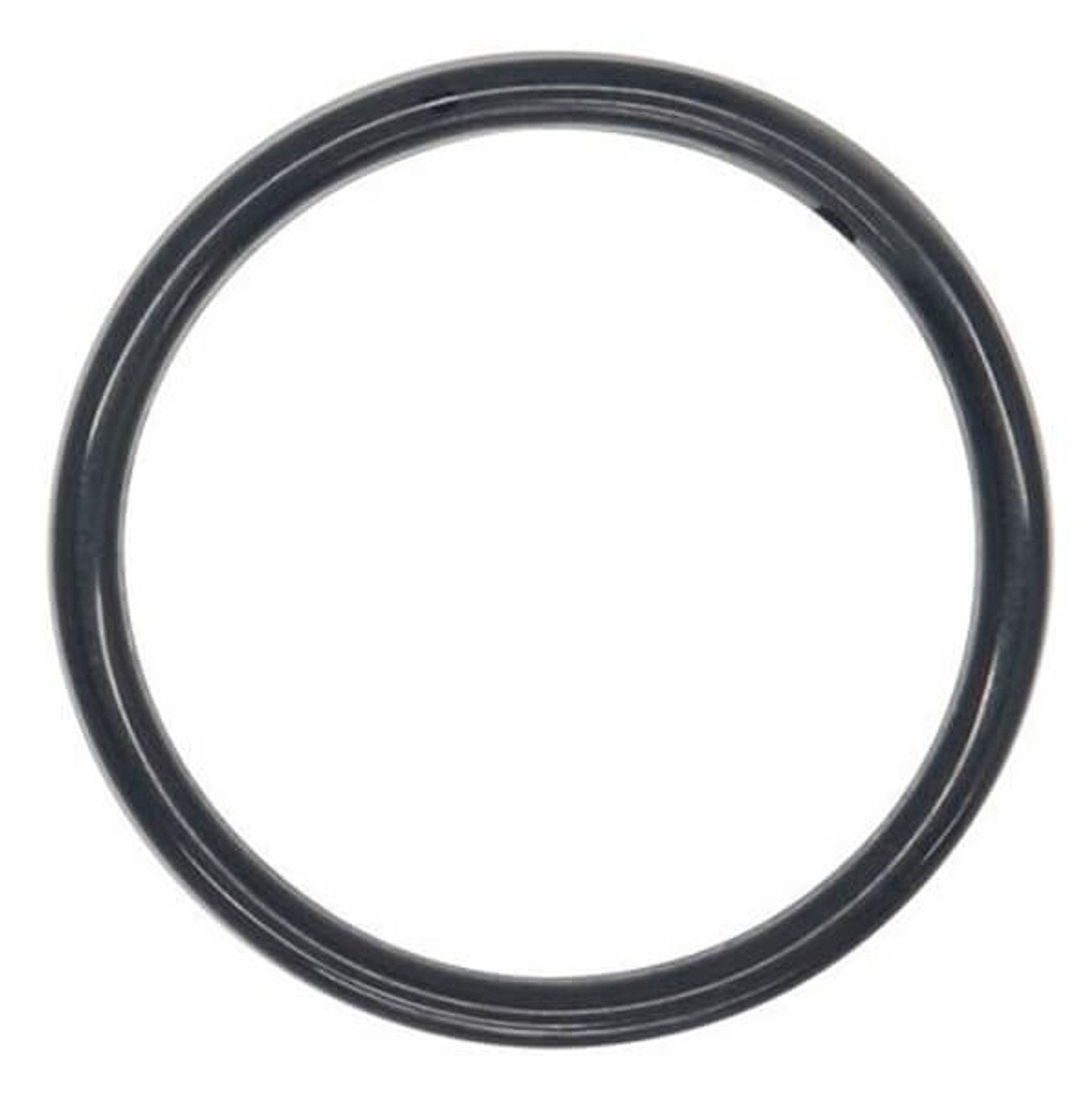 04-2390-52 Buna O-Ring for 1.5" Pumps