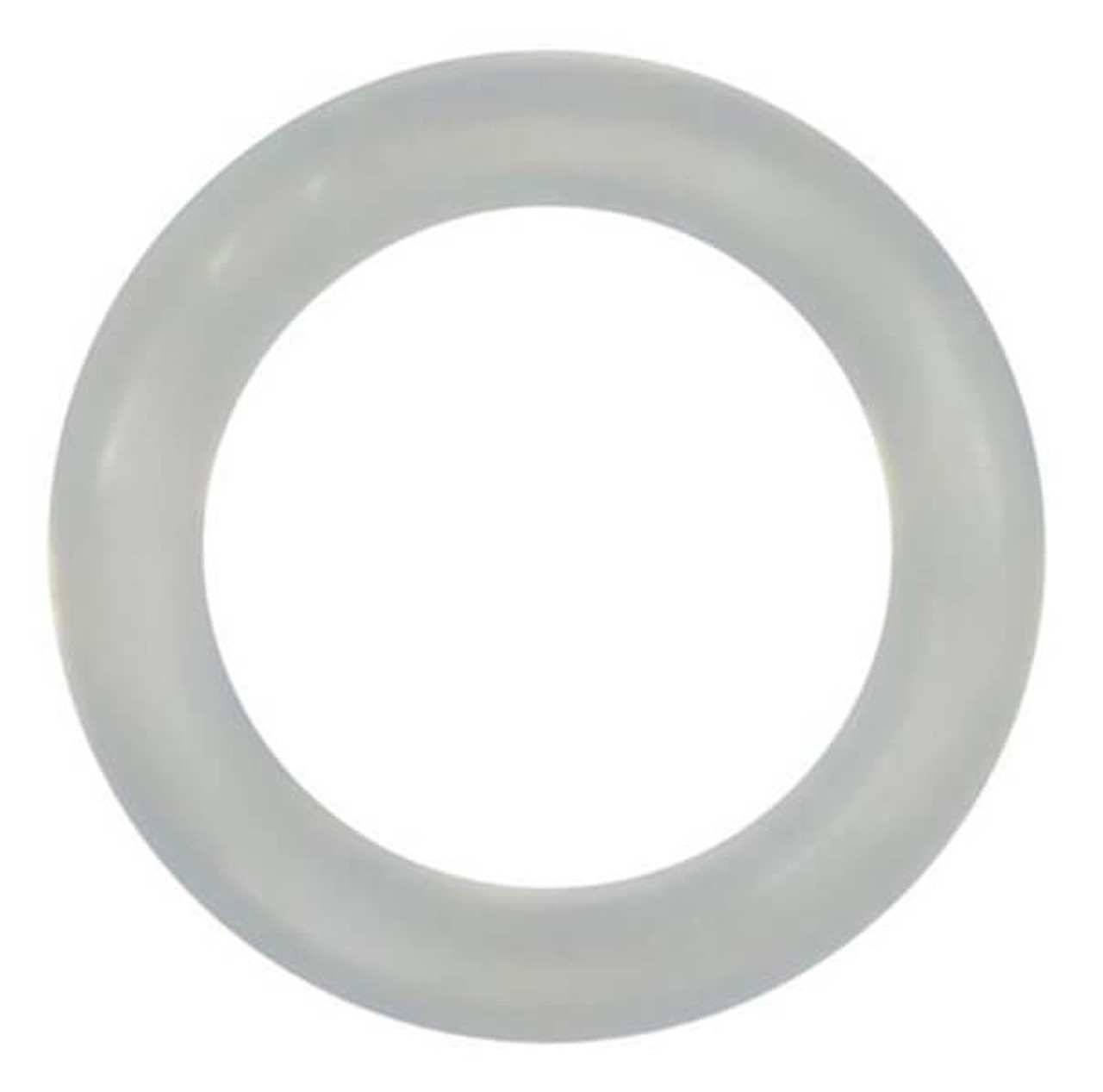 04-3879-50 O-Ring for 1.5" Pumps