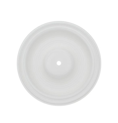 02-1010-55 PTFE Diaphragm for Wilden 1" Pumps