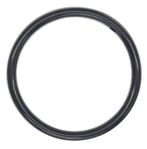 04-1300-52-500 Buna O-Ring for 1.5" Pumps