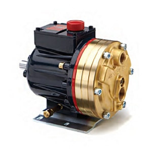 Hydra-Cell Pump D10XKBTHFECA