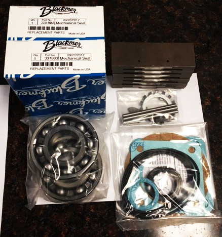 898958 TXD3E & TX3E Blackmer Rebuild Kit (Viton)