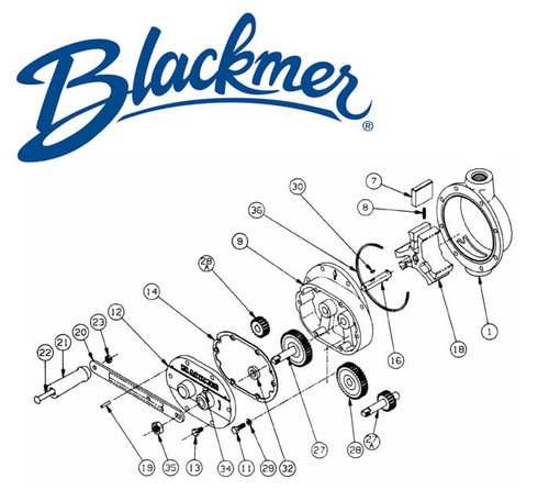 Blackmer Pump 910920