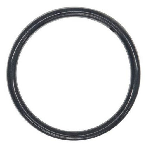 01-1300-60-500 O-Ring for .5" Pumps