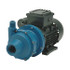 Finish Thompson DB5.5P-M622 Pump